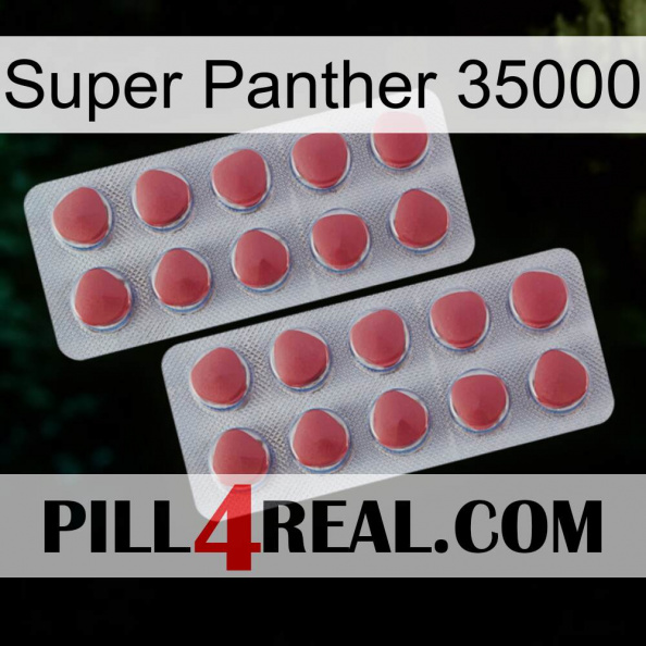 Super Panther 35000 19.jpg